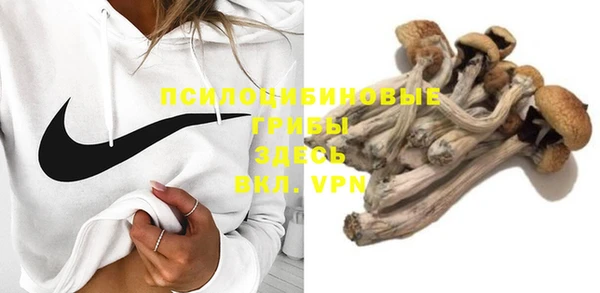 ПСИЛОЦИБИНОВЫЕ ГРИБЫ Алексеевка
