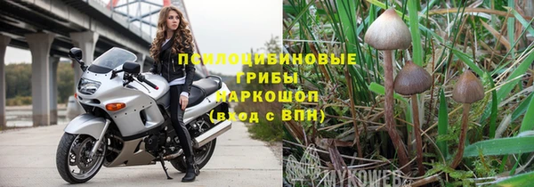 ПСИЛОЦИБИНОВЫЕ ГРИБЫ Алексеевка