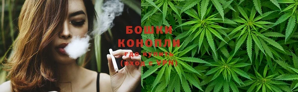 ПСИЛОЦИБИНОВЫЕ ГРИБЫ Алексеевка