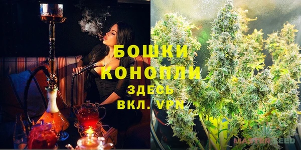 ПСИЛОЦИБИНОВЫЕ ГРИБЫ Алексеевка