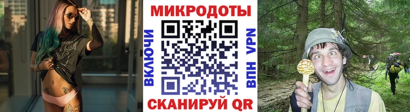 Псилоцибиновые грибы GOLDEN TEACHER  магазин  наркотиков  Туймазы 